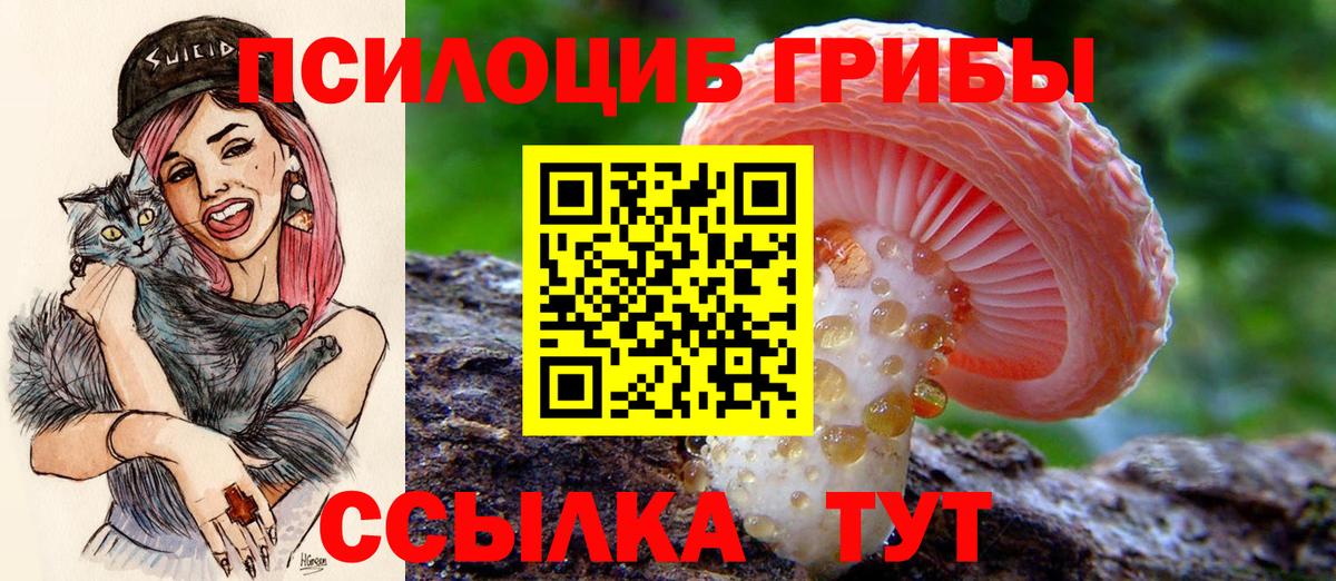 Псилоцибиновые грибы MAGIC MUSHROOMS Ейск