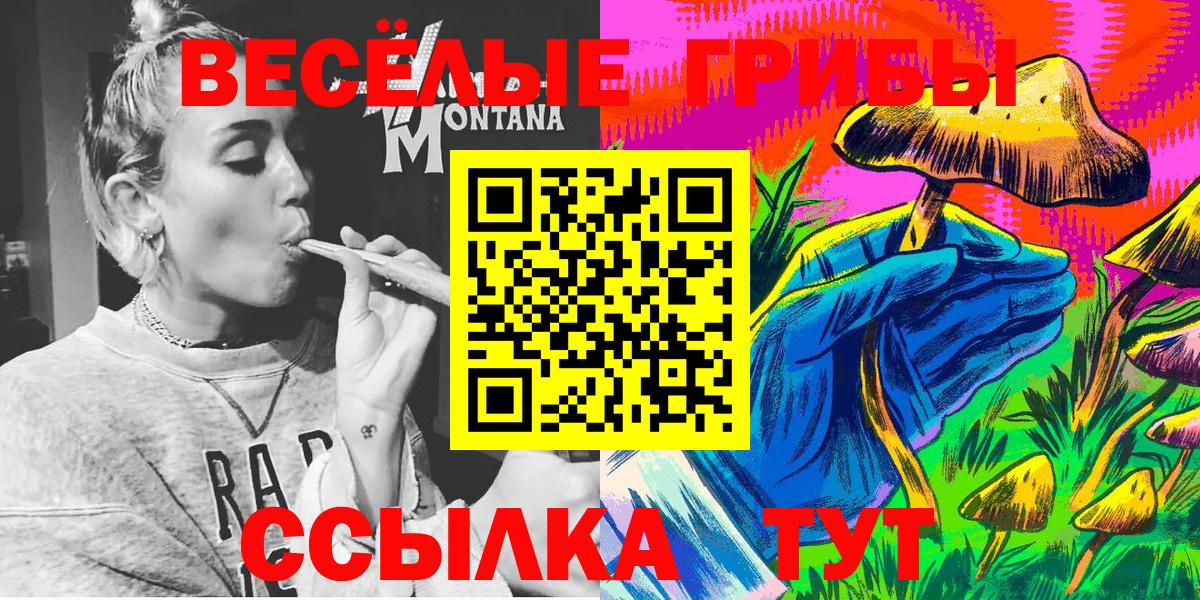 купить наркотики сайты  Псилоцибиновые грибы MAGIC MUSHROOMS  Вход с VPN  Ейск 